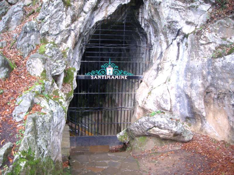 Cuevas de Santimamiñe y Bosque de Oma