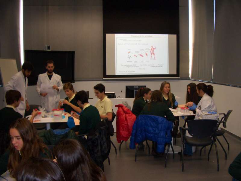 Los alumnos de 4º de la ESO en BioDonostia: Explorando el cuerpo humano