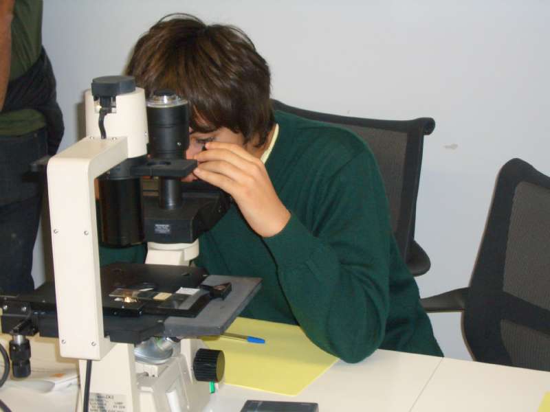 Explorando el Sistema Nervioso