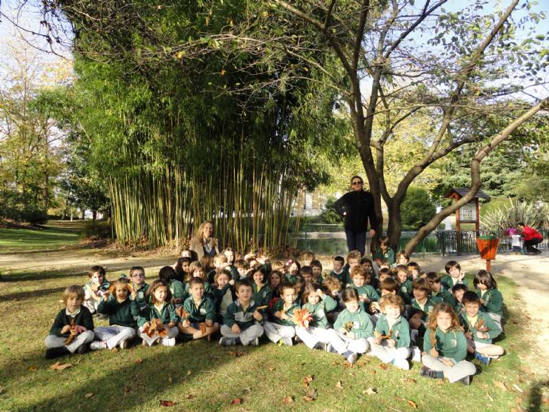 Paseo de otoño en 3º de Educación Infantil