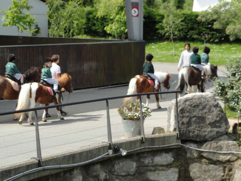 2º Infantil de excursión a Miracampos