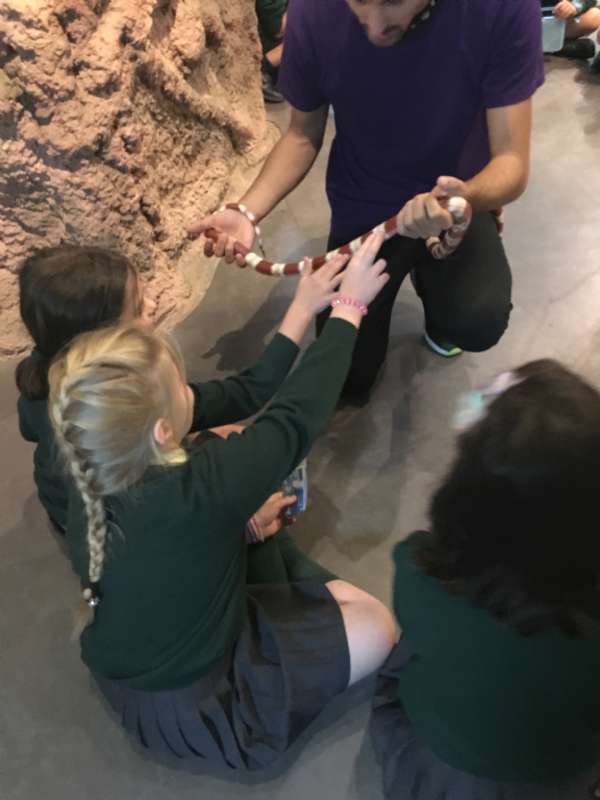 A visit to the Science Museum