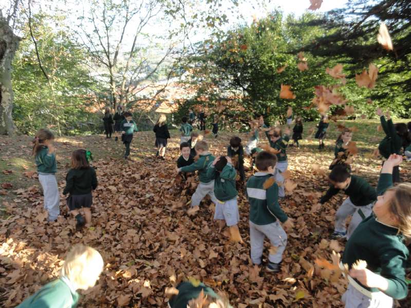 Paseo de Otoño de 3º Educación Infantil