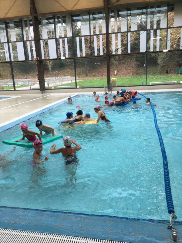 Natación en 4º de Educación Primaria