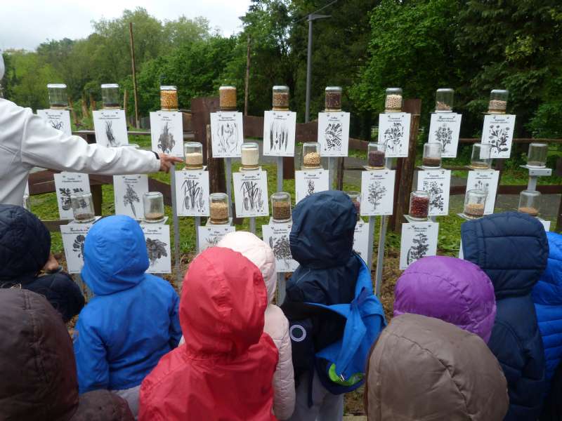 Excursión de 2º de Educación Infantil a Ekogunea