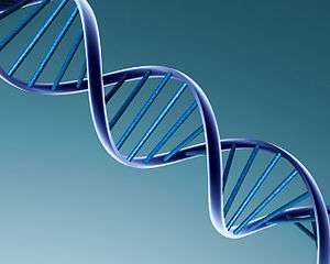 Gran éxito de las representantes del colegio en las Olimpiadas de Biología