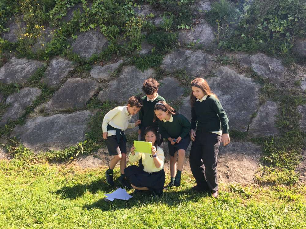 Jugando con las palabras en Educación Primaria