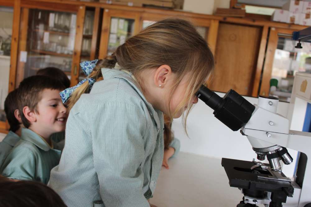 El alumnado de 2º de Educación Infantil visita el 'cole de los mayores'