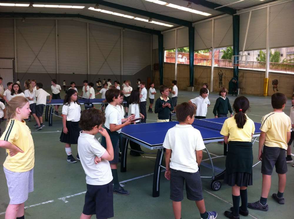 Campeonato de ping-pong