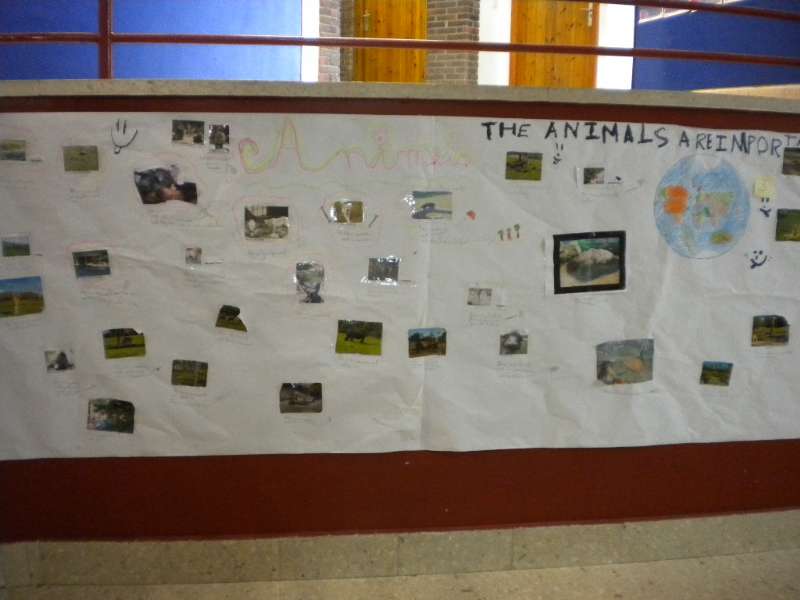 Murales realizados por el alumnado de 4ºEP