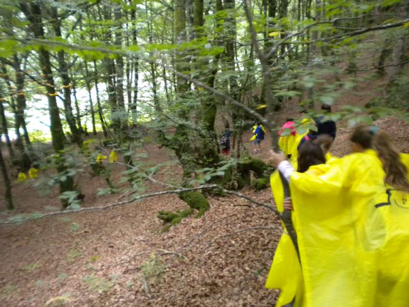 En Arotz Enea con 6º de Educación Primaria