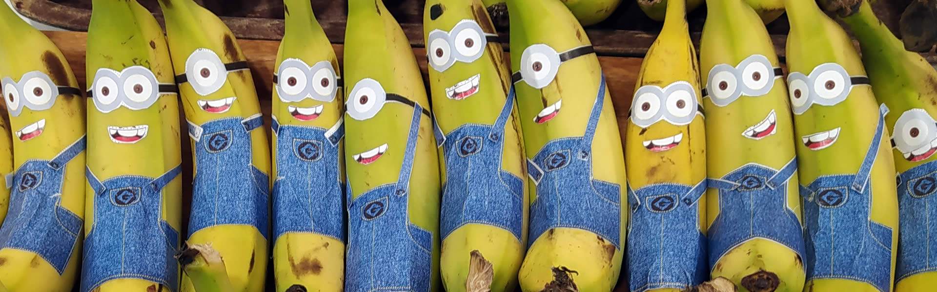 Let's go bananas! FOR LA PALMA